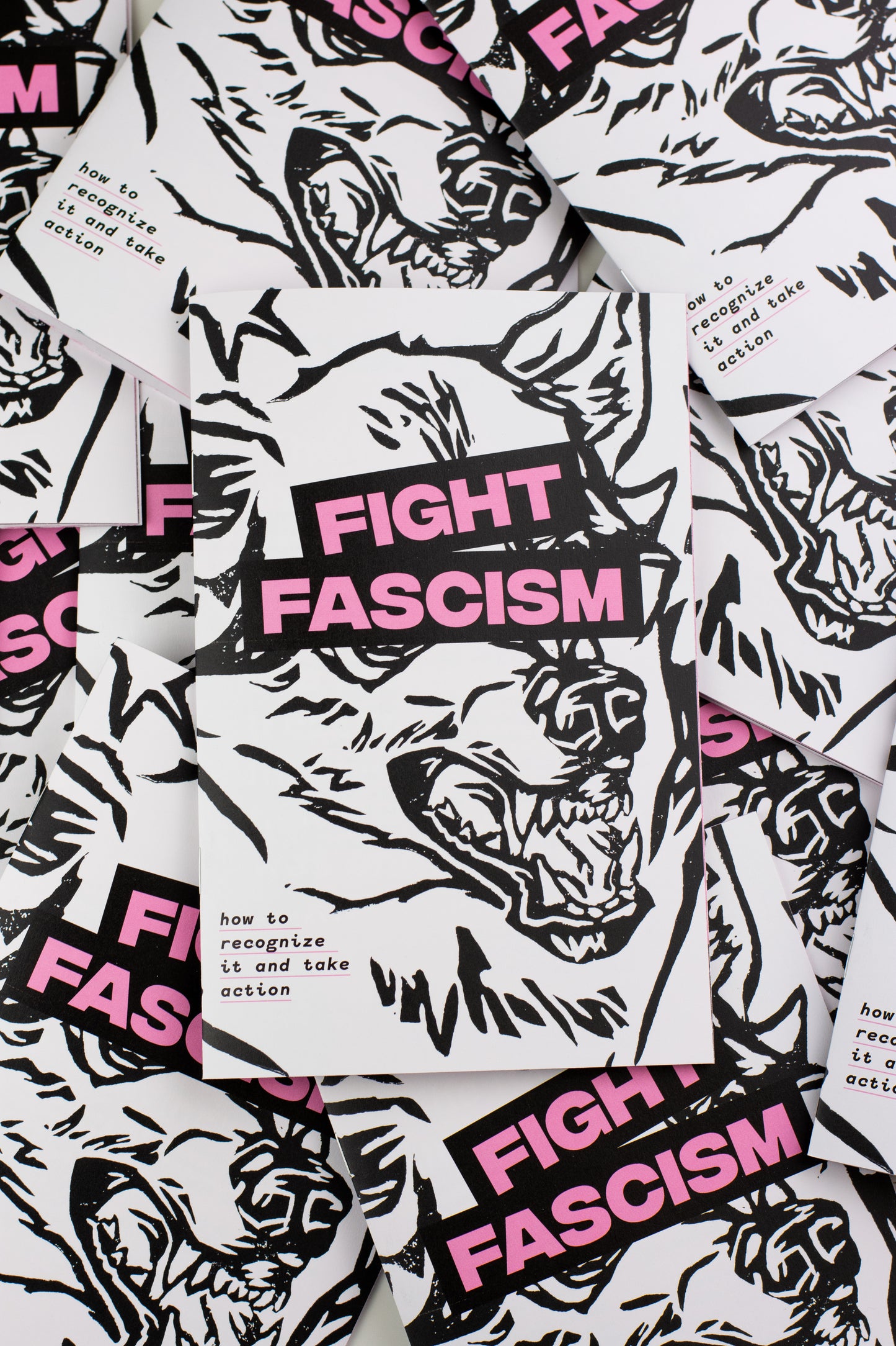 Fight Fascism Zine