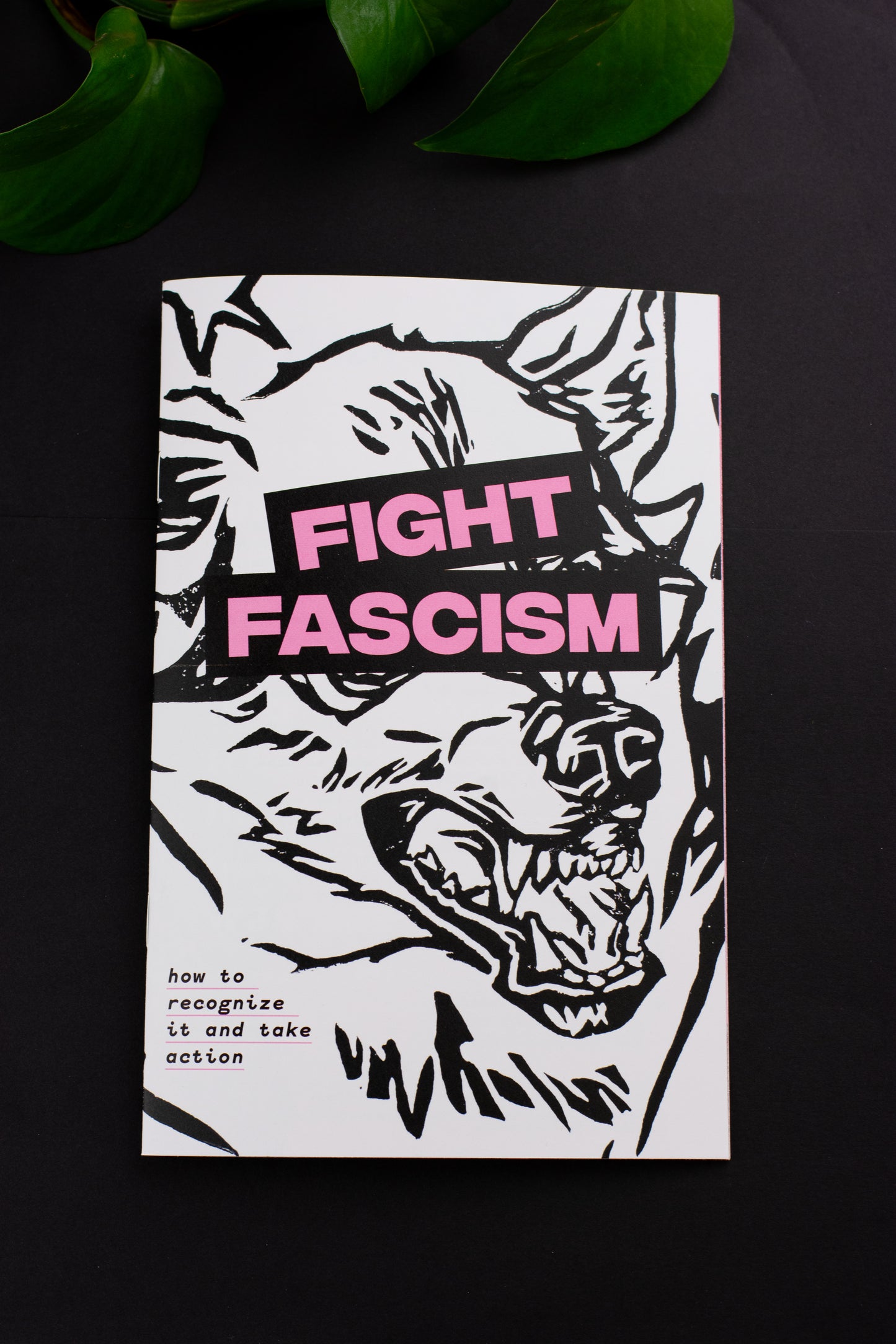 Fight Fascism Zine