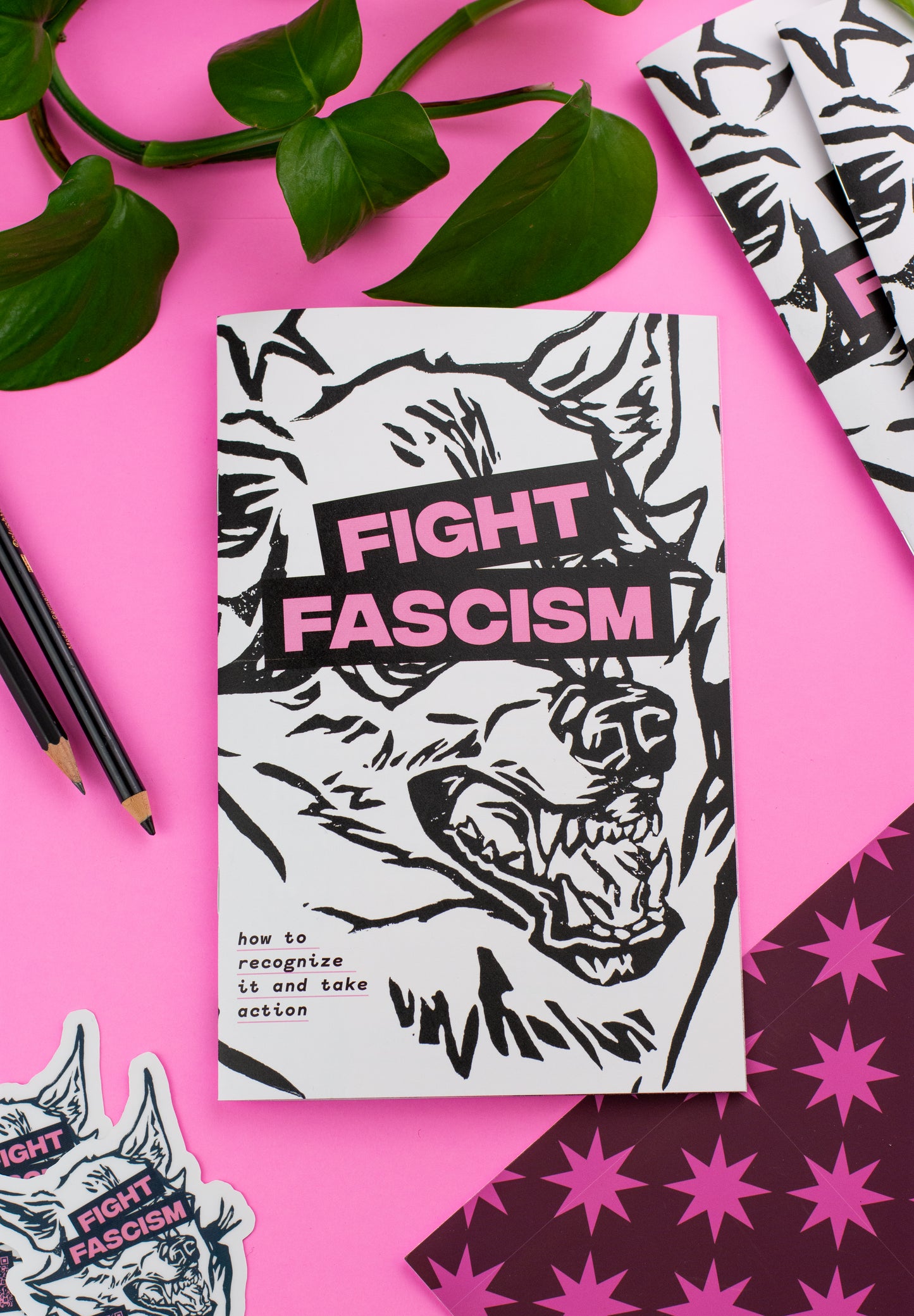 Fight Fascism Zine