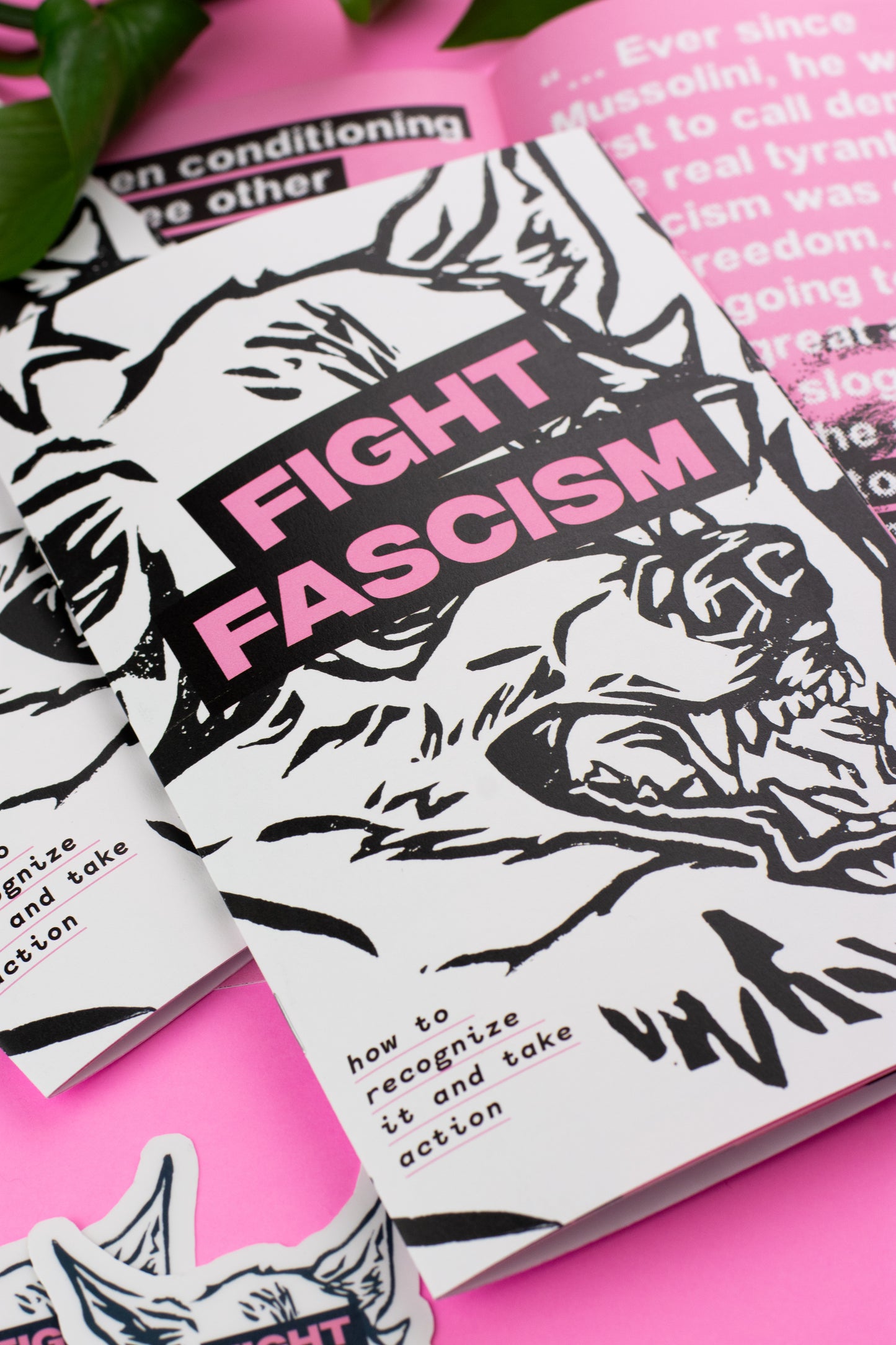 Fight Fascism Zine